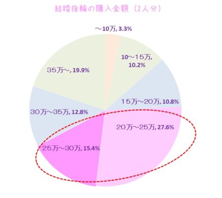 結婚指輪の購入金額　2人分　購入者データ　円グラフ